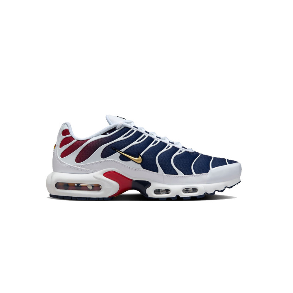 Air Max TN psg patike - originalni model