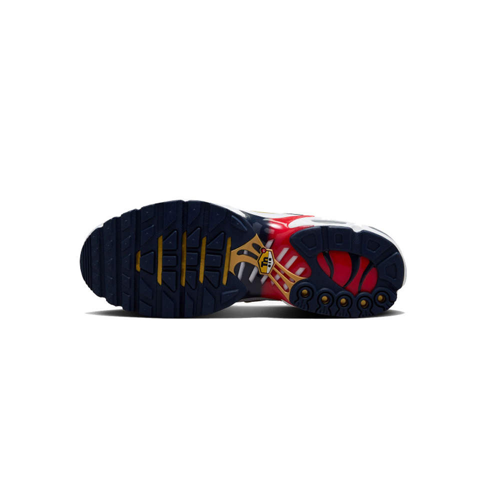 Air Max TN psg patike - originalni model